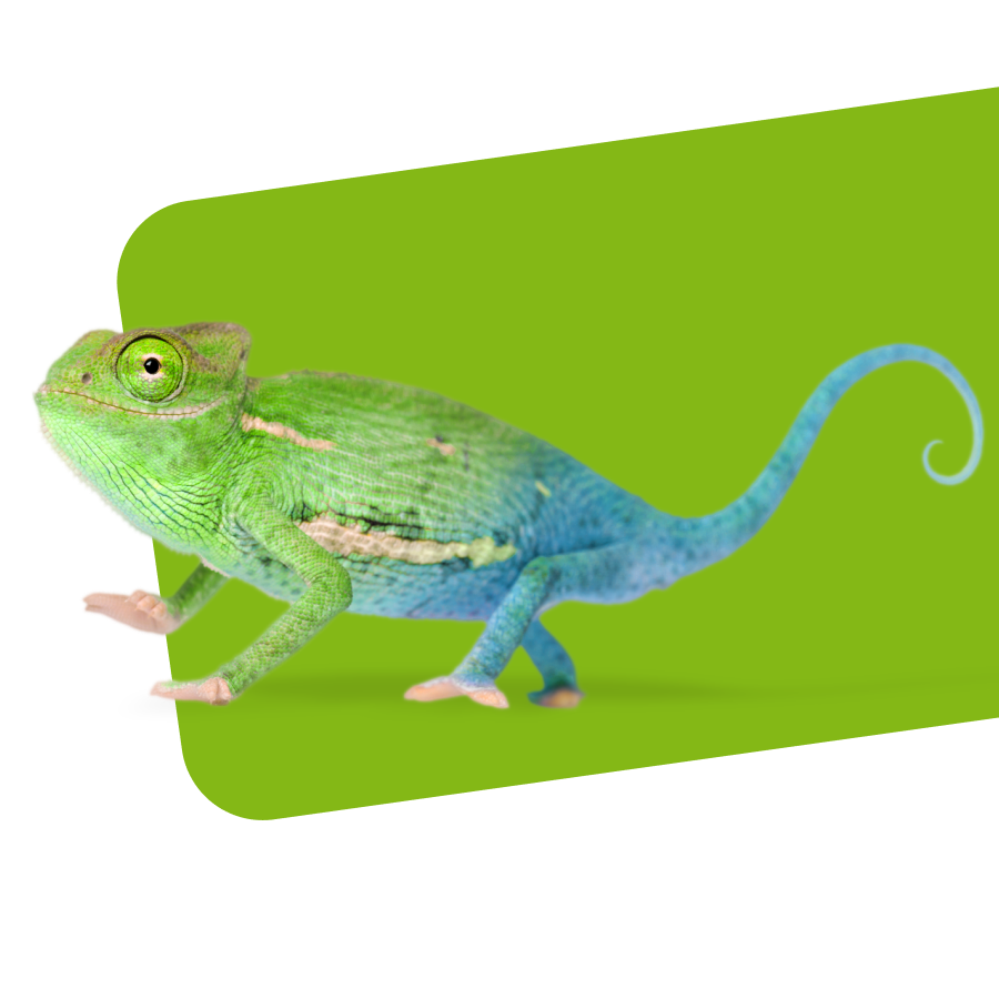 DE-easy25425A_Rebrand_Announcement_GoLive_Creatives_Website_Heroeasybank_251211_1450